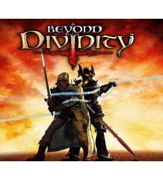 Beyond Divinity GOG.com Key GLOBAL